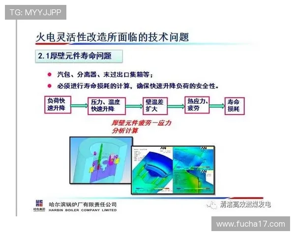 成都排球队技术分析与战术创新的深度探讨与展望